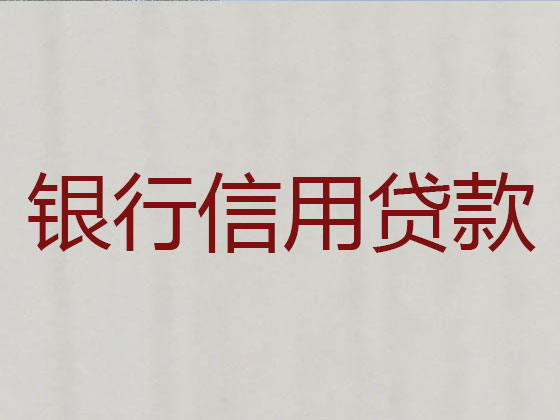 郴州抵押贷款公司-信用贷款